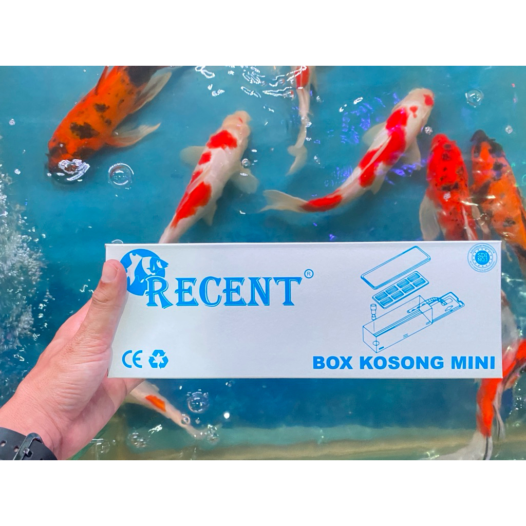 Box Kosong Filter Aquarium Top Filter Talang Mini Recent