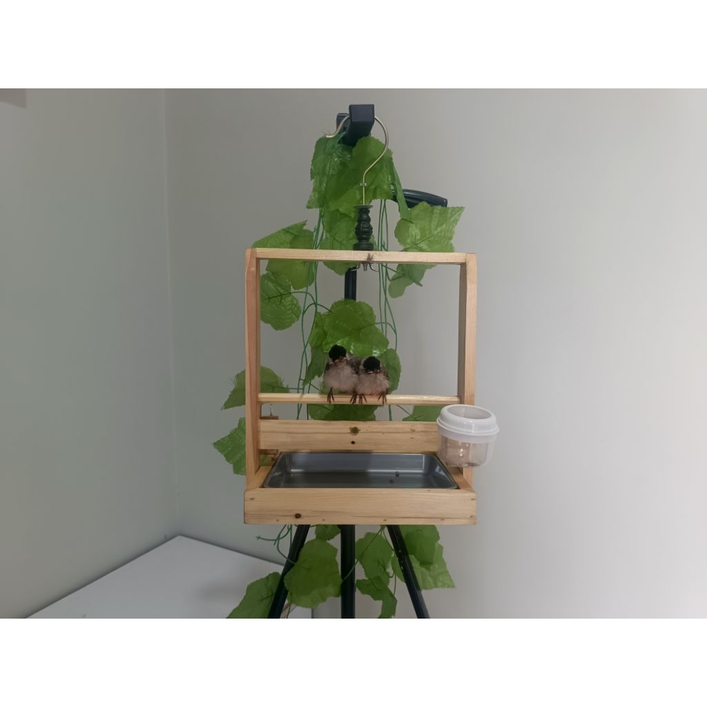 Sangkar Layang Kayu Jati Landa Model Alas Baki Mini Aesthetic Polos