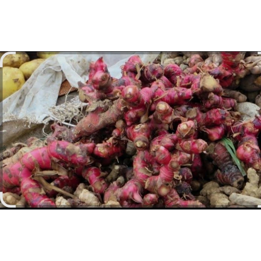 

jahe merah super pilihan1kg