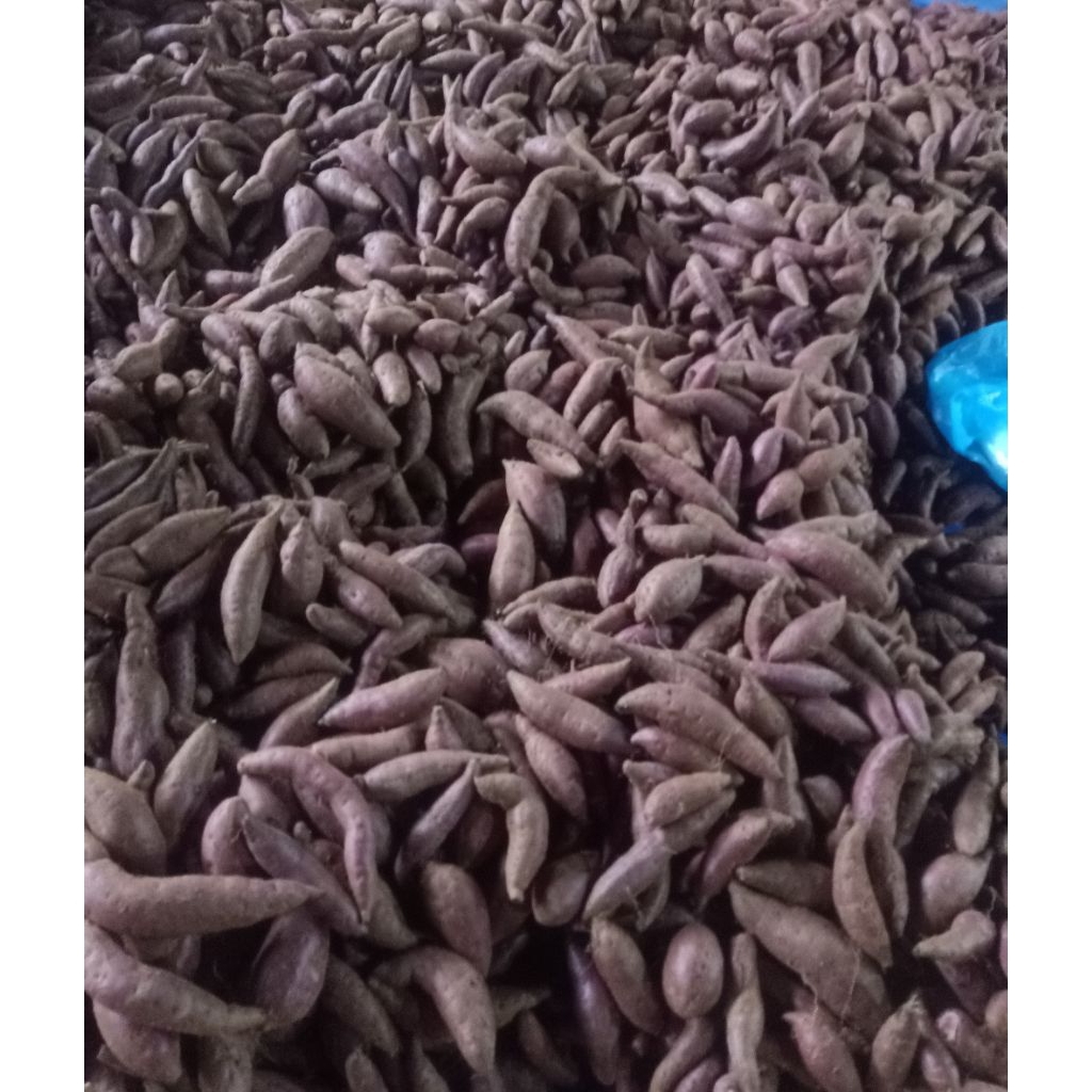 

Ubi Ungu Fresh (1kg)