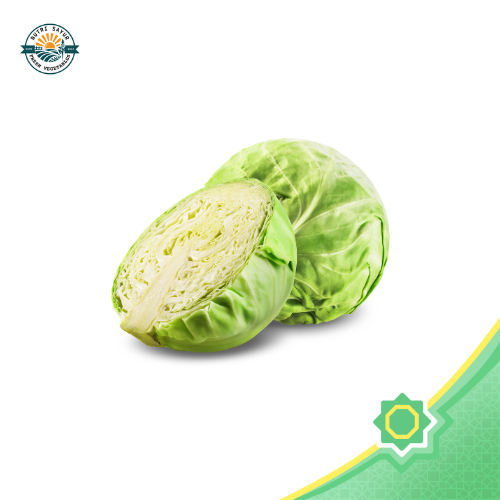 

Kol Pilihan (Kubis) | NutriSayur | Renyah & Kaya Serat!