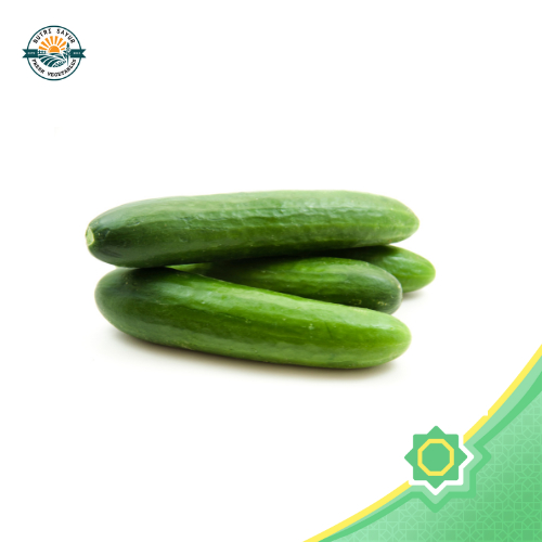 

Timun Pilihan (500gr) | NutriSayur | Renyah & Bikin Segar Seharian!