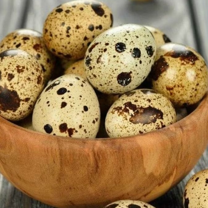

telur puyuh rebus matang dan mentah - surabaya