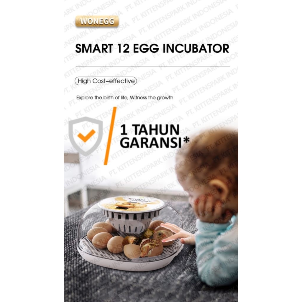 HHD M12 kapasitas 12 telur ayam Smart incubator full otomatis