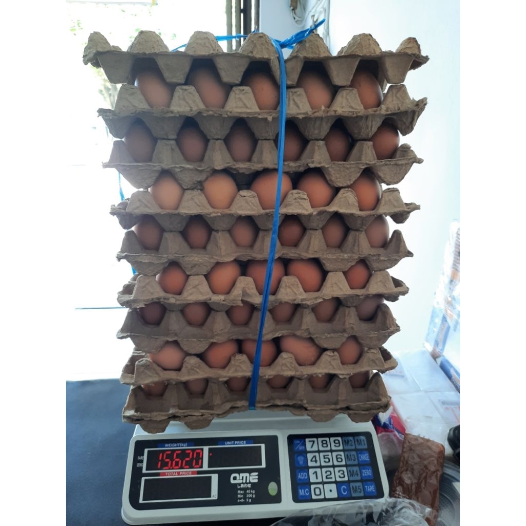 

TELUR AYAM NEGERI 1 TRAY ISI @15kg FULL SERANG INSTANT ONLY