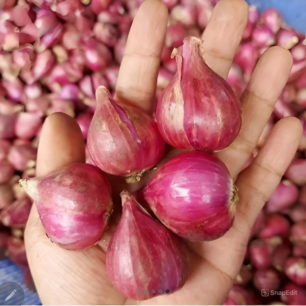 

Bawang Merah Pilihan 250 gram