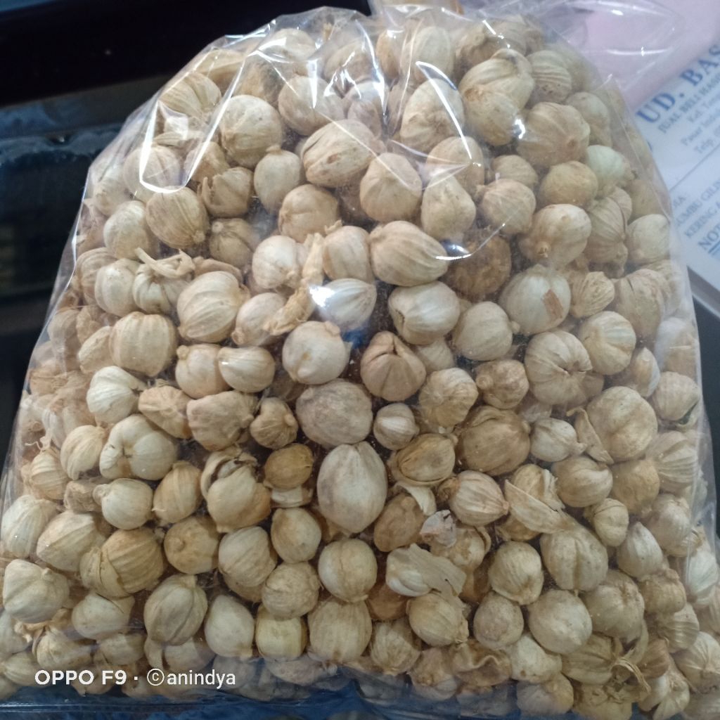 

kapolaga putih kapol putih 100gr