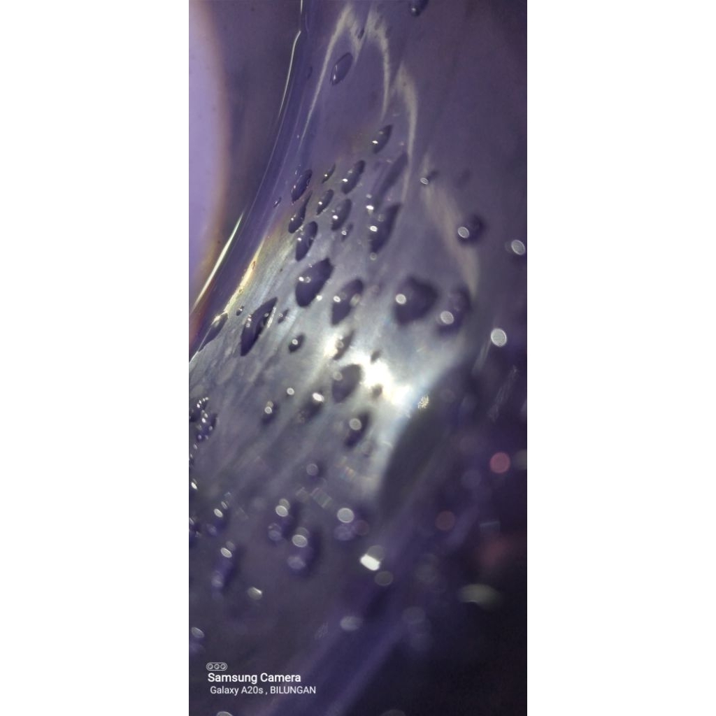 

jamu godong cangkring