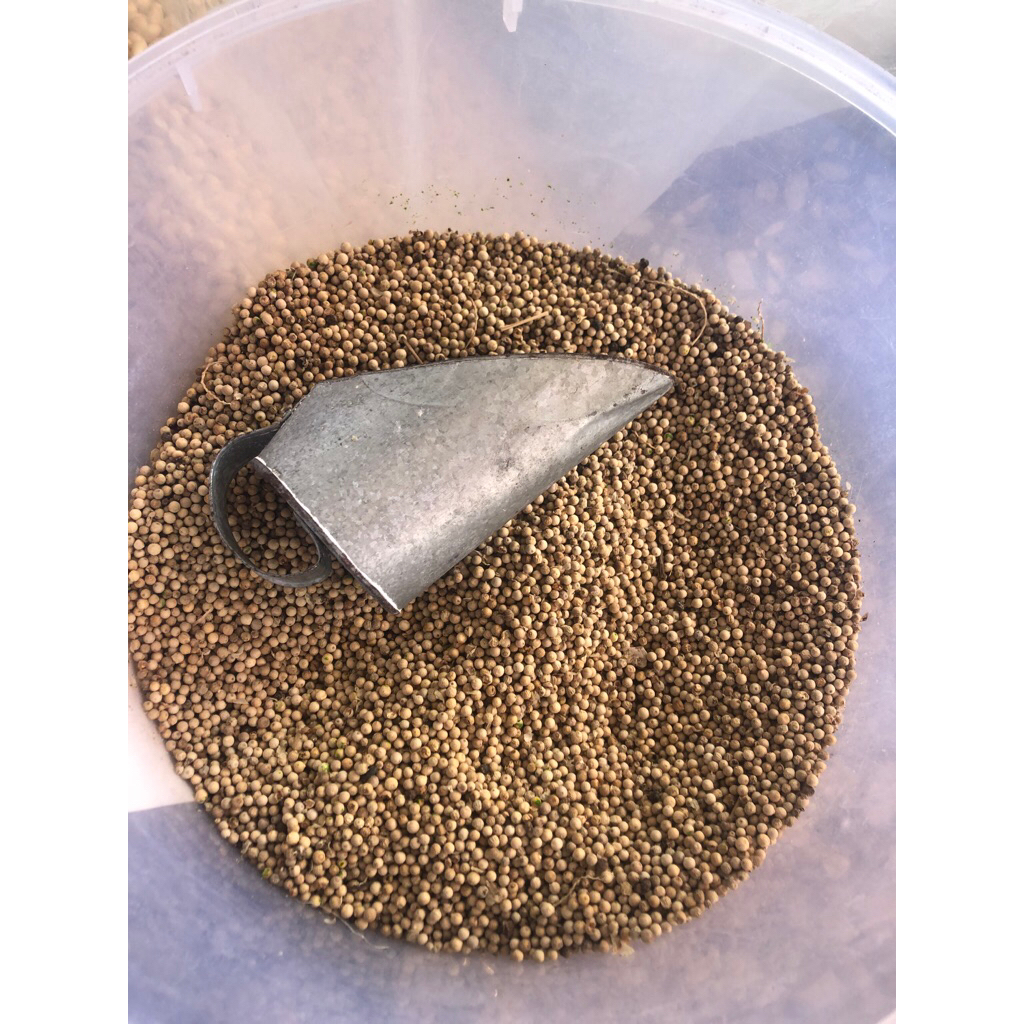 

lada putih butir/ merica sahang putih 1 kg