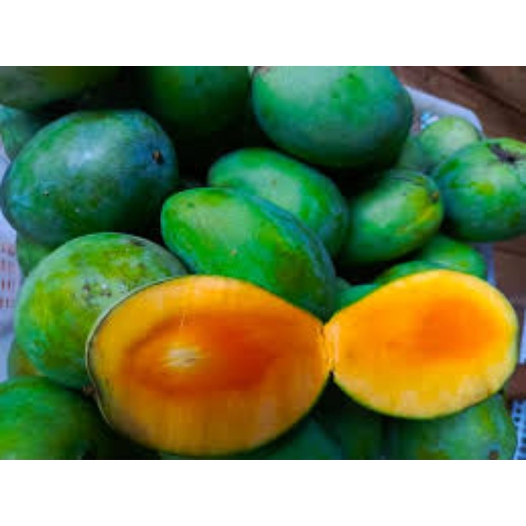 

mangga Arum manis atau mangga gadung segar dan higienis