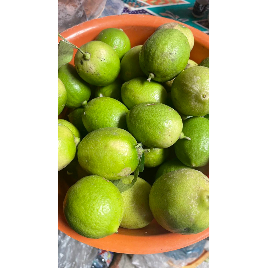 

BUAH LEMON LOKAL SEGAR