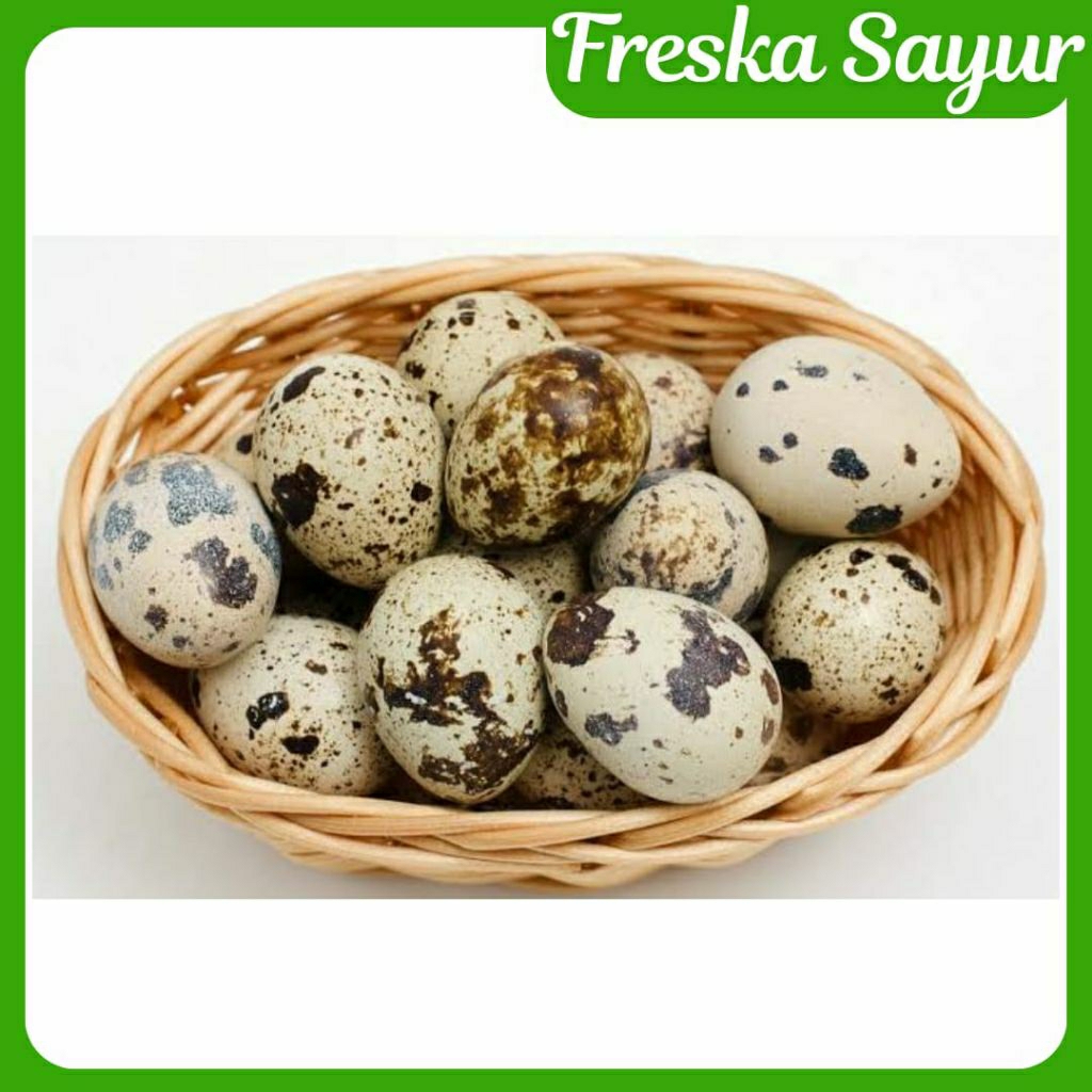 

Telur Puyuh 1 Kg