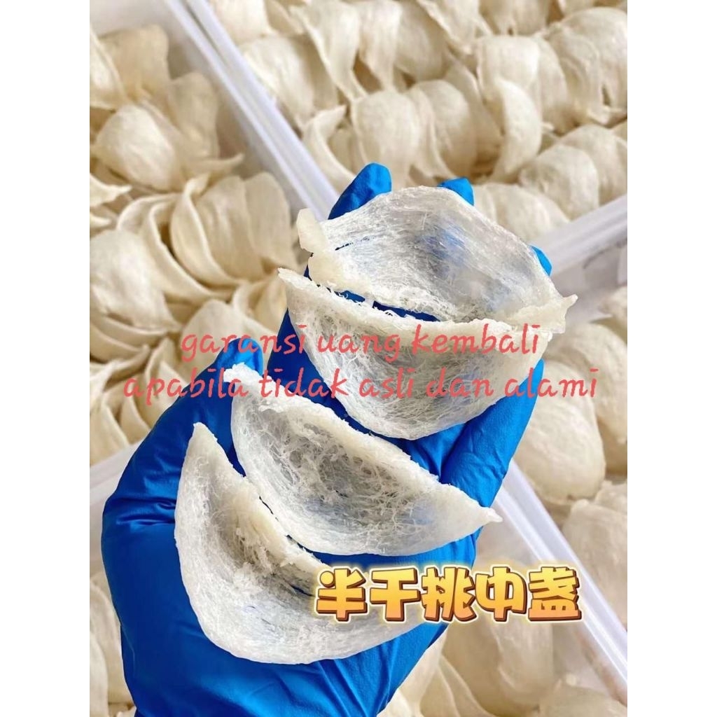

Sarang Burung Walet Bersih Alami Natural Mangkok Sedang Super 100gr