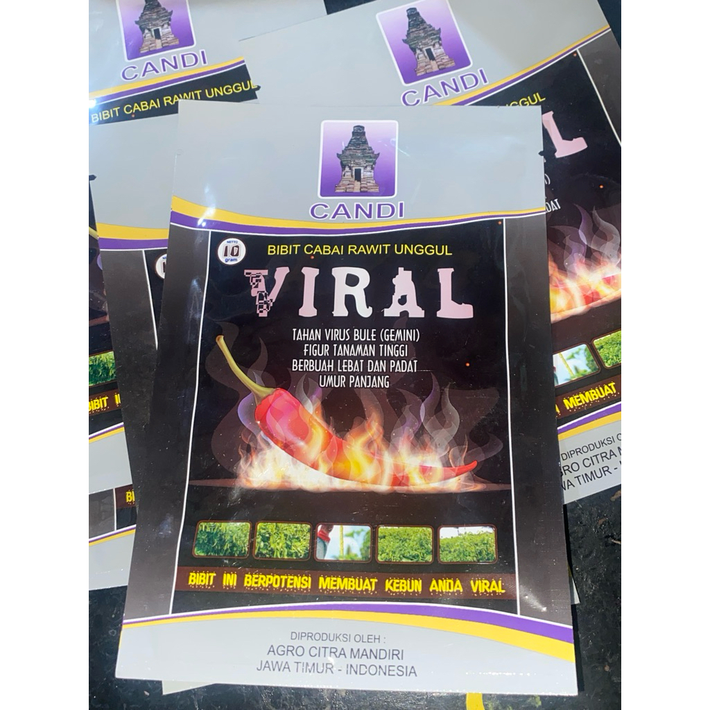 BENIH CABAI RAWIT UNGGUL VIRAL 10gr