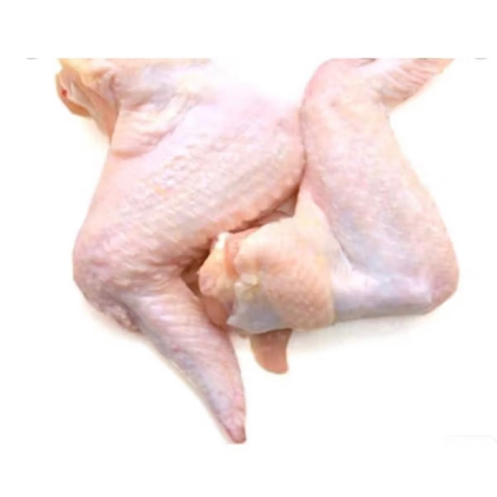 

MAMAGISTORE - sayap ayam