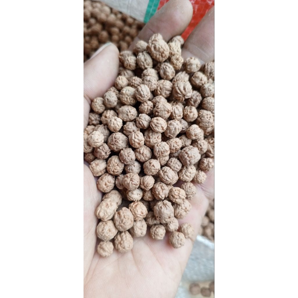 Tangan Budha Rudraksha 108