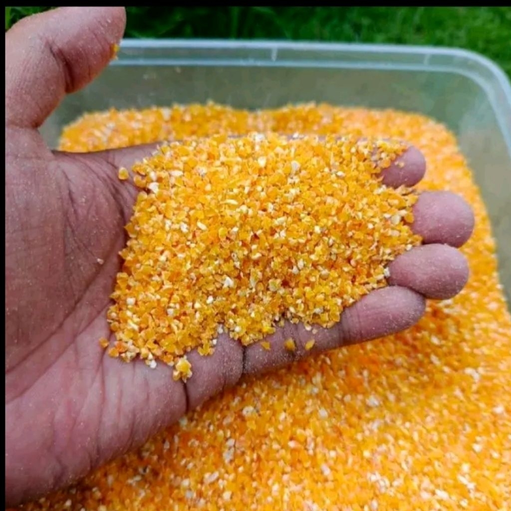 

Termurah beras jagung madura selipan gilingan tani / beras jagung lokal Rice Food