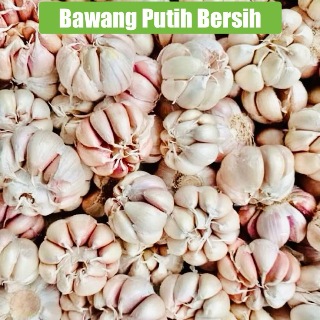 

Bawang Putih Bersih 1kg bawang hanon/hoci