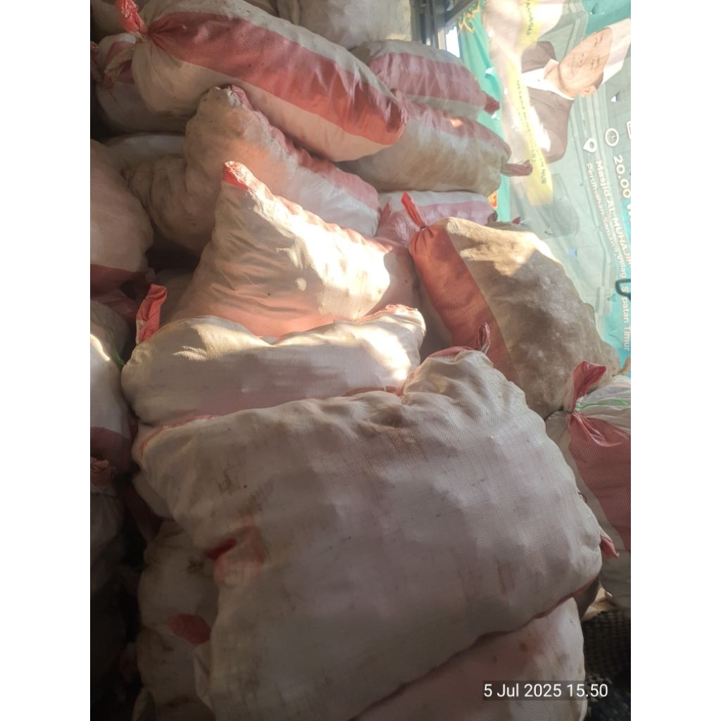 

BUAH ZURIYAT MADINAH 100% ASLI UNTUK PROMOMIL GROSIR