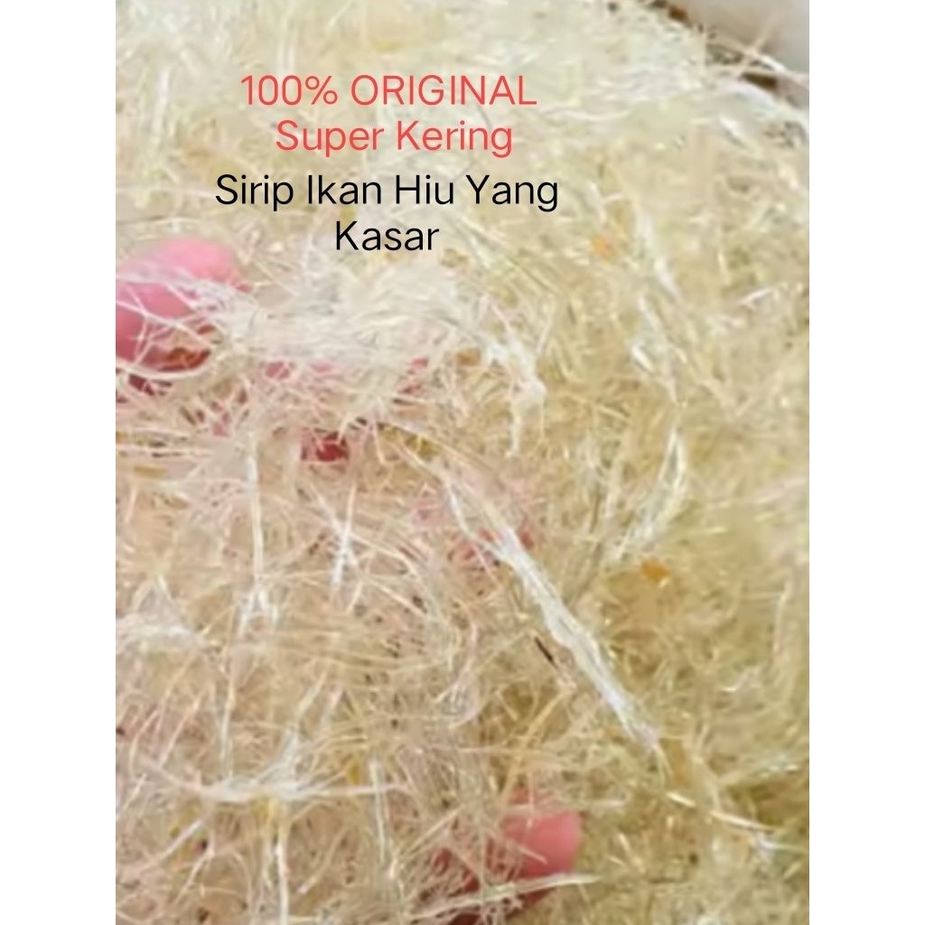 

Sirip Ikan Hiu Huachi Hisit Super Kering Asli Original Kualitas Premium Grade Super 100gram( kasar )