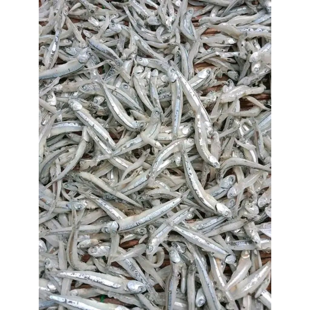 

Teri Jengki 1 kg / Ikan Asin Teri Rebus Kering Super Enak