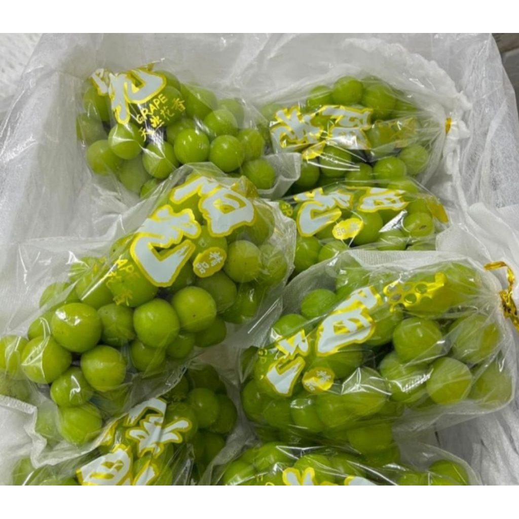 

anggur shine Muscat tanpa biji netto 1000gr