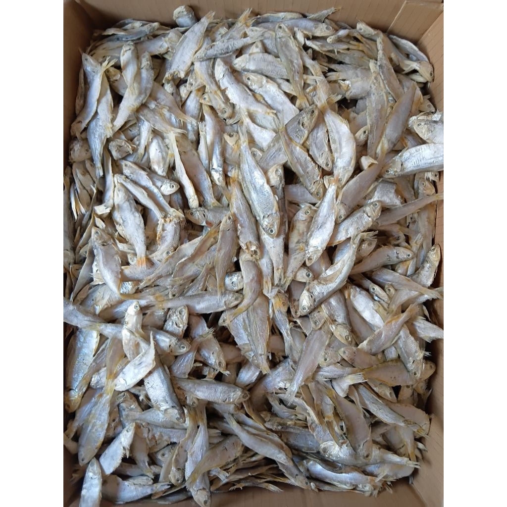 

1kg Ikan Asin Bilis Kering Ikan Asin Tipis Kering Ikan Asin Lempuk