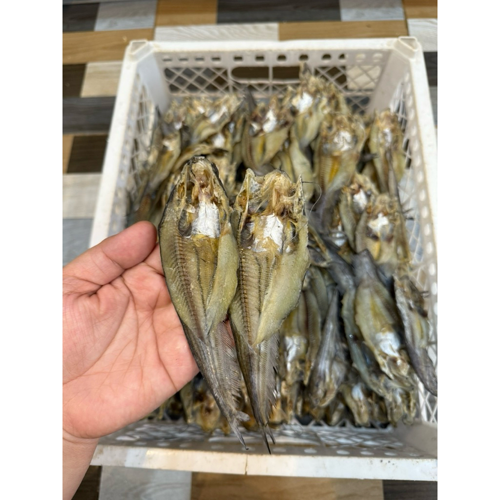 

ikan asin lais