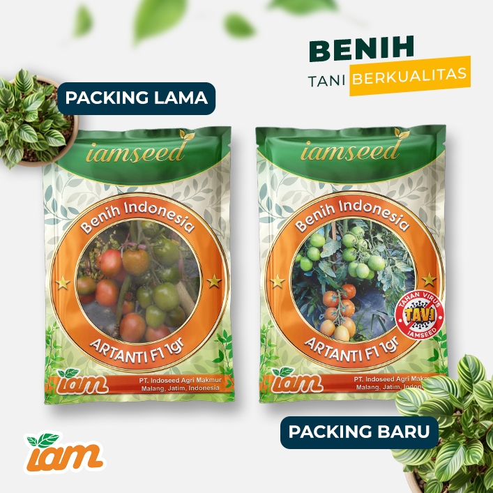 

Artanti F1 1gr | Tomat dataran tinggi