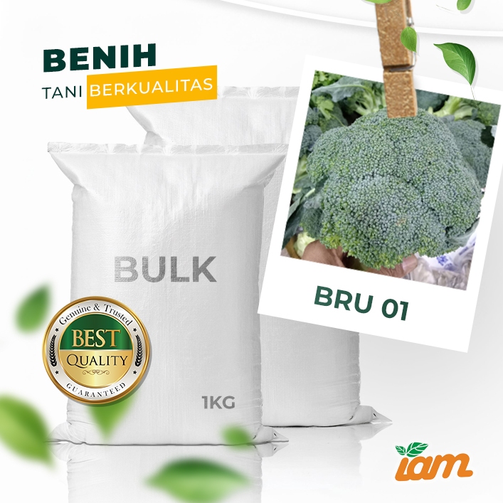 

BULK 1kg – brokoli F1 (BRU 01)