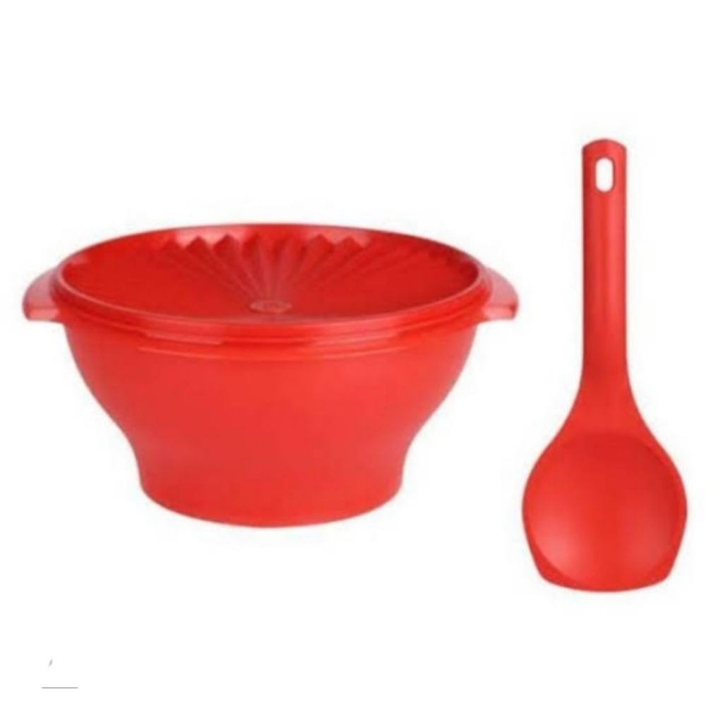 Large rice bowl w/ spoon Tupperware