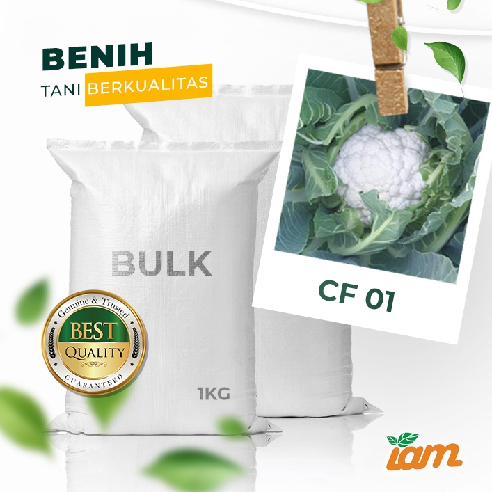 

BULK 1kg – bunga kol F1 (CF 01)
