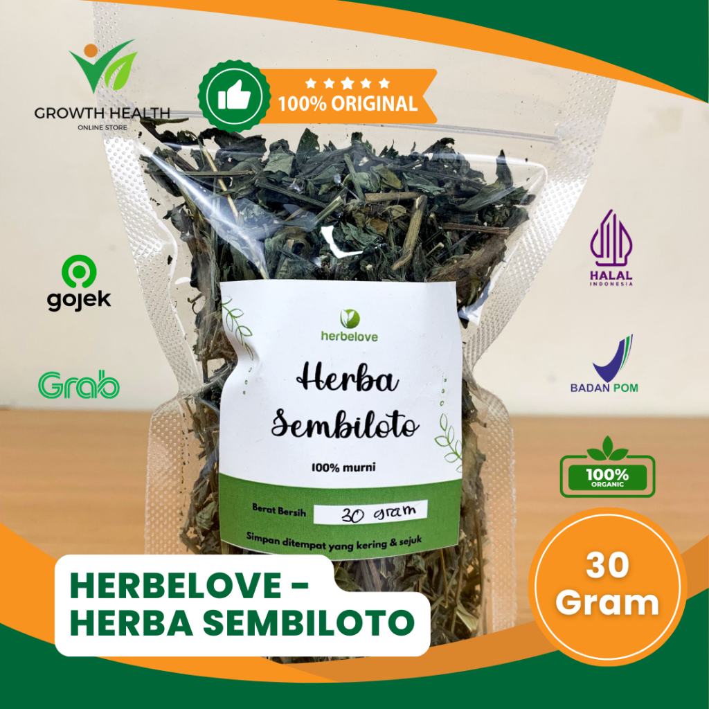 

HERBELOVE – HERBA SEMBILOTO KERING 100% MURNI 30 GRAM