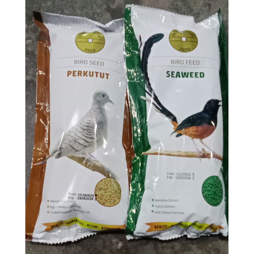 Gold coin seaweed dan gold coin perkutut