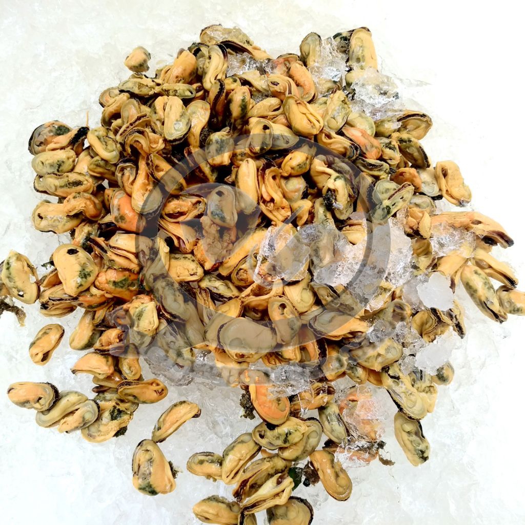 

Daging Kerang Hijau segar 1 kg