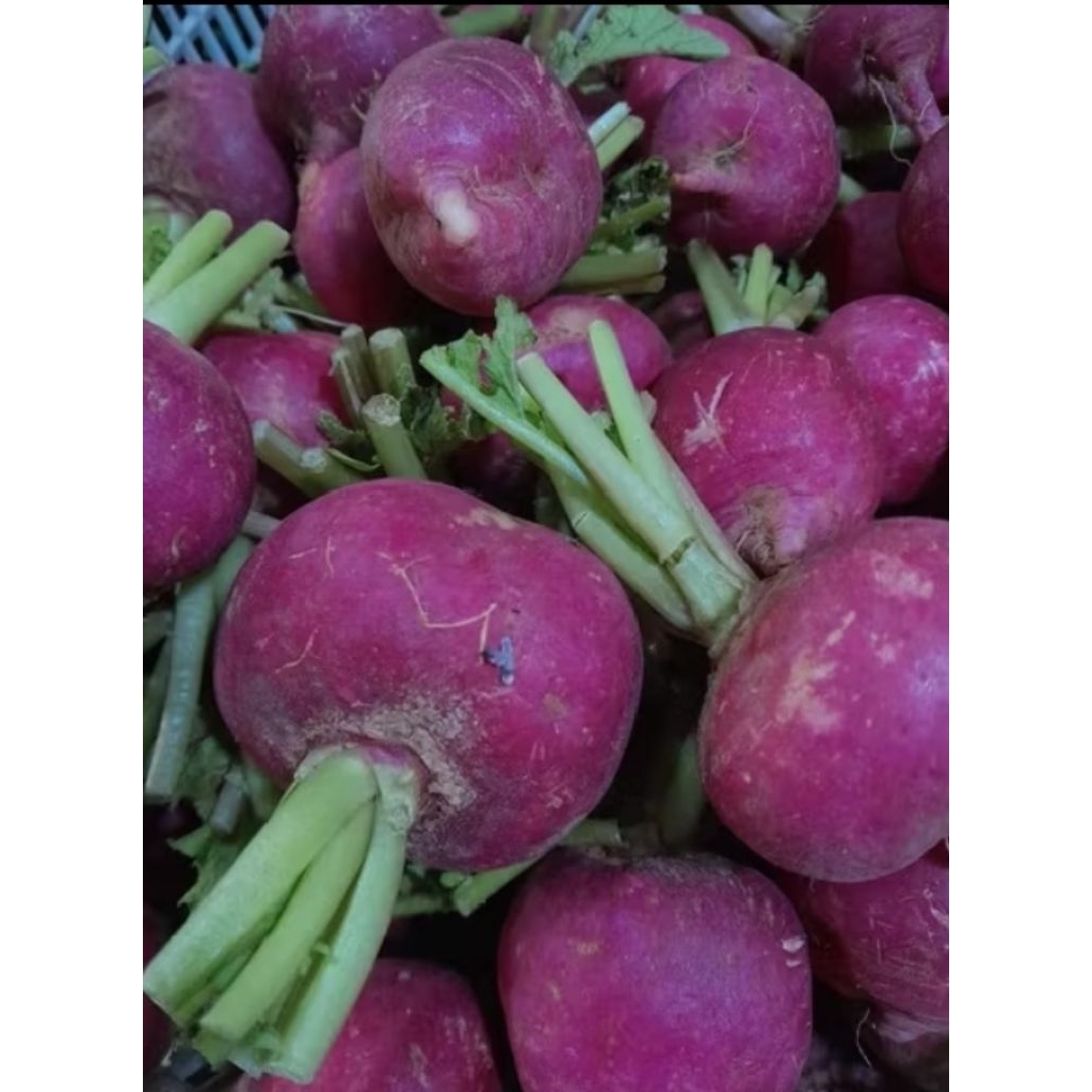 

lobak merah 250gr