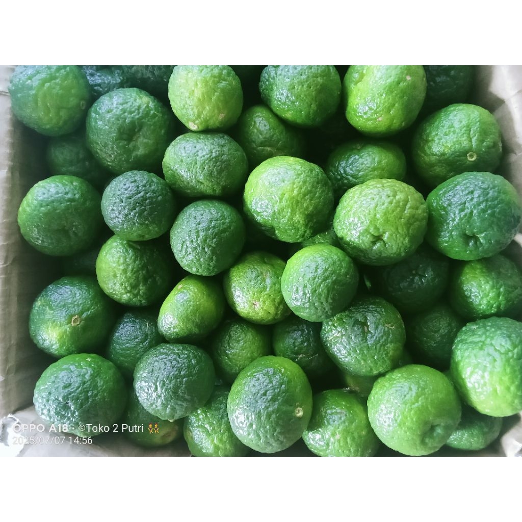 

Jeruk sambel / limau 1kg FRESH petik dari kebun