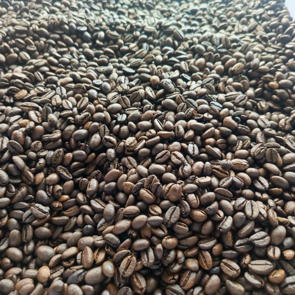 

Roasted Bean Robusta Temanggung Asalan A