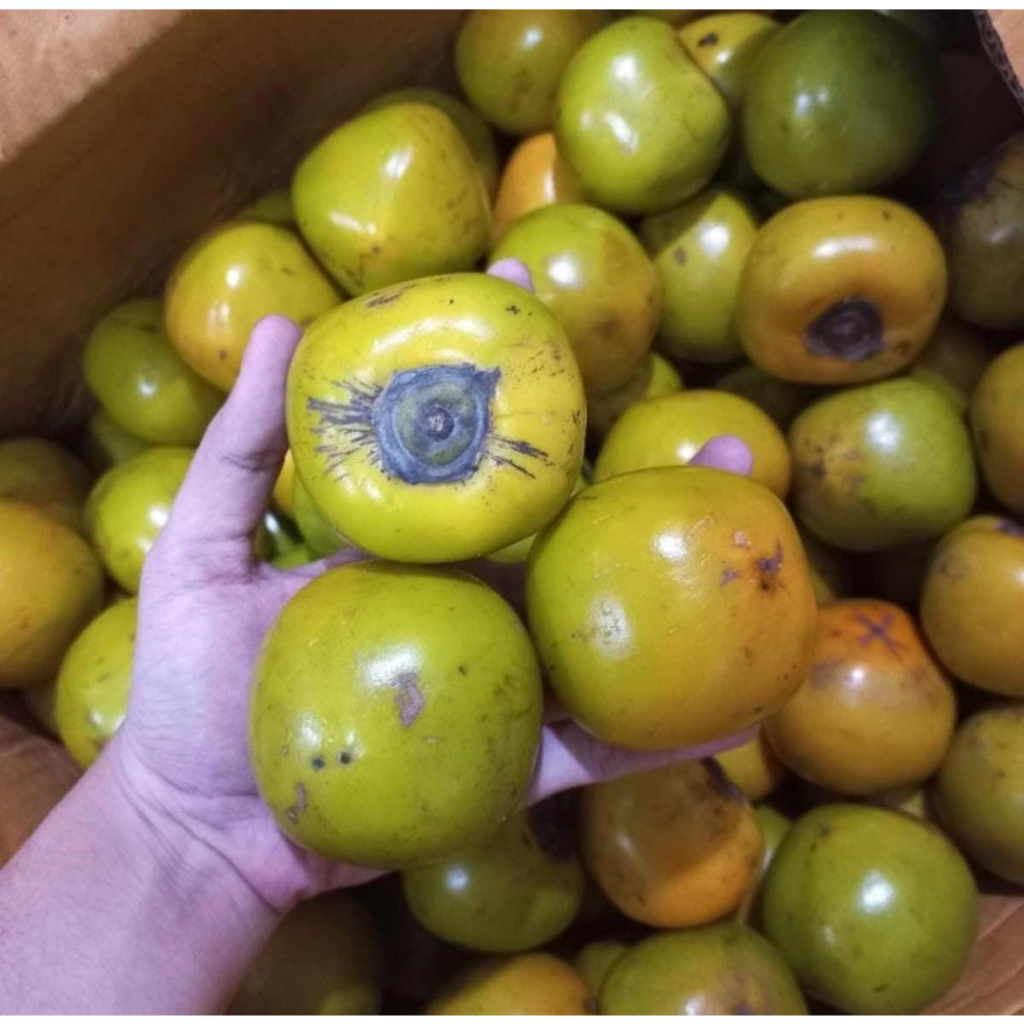 Buah Kesemek Lokal 1 Kg