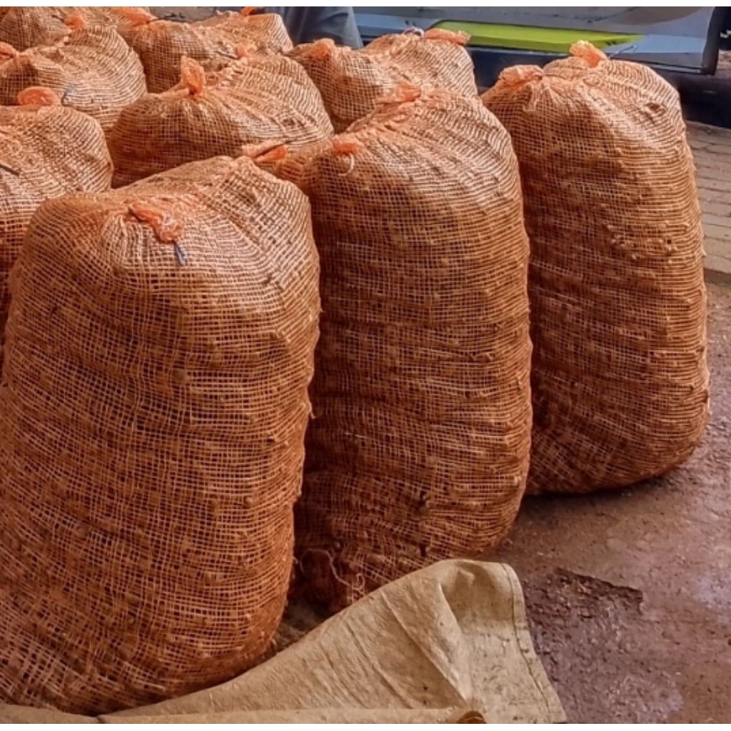 

KENCUR FULL TUA 50 KG FRESH DAN SEGAR.