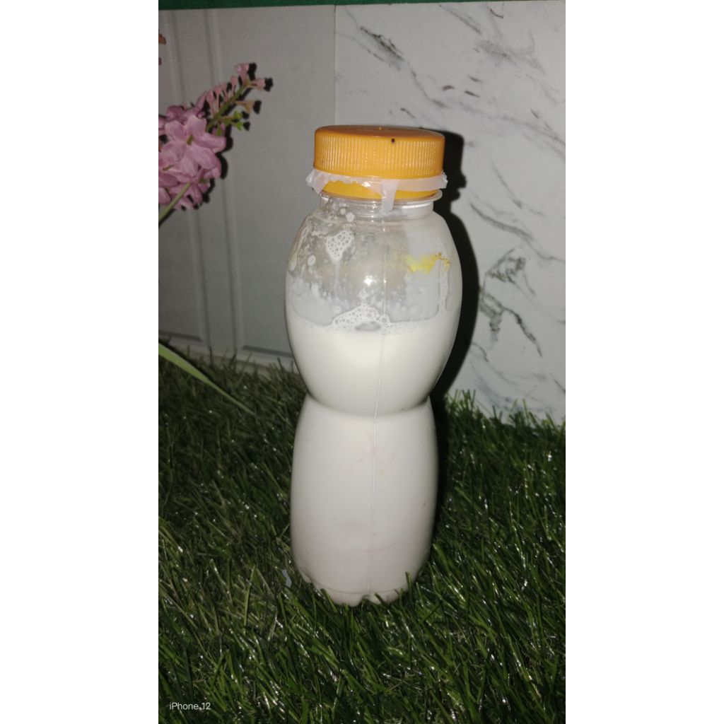 GETAH KARET CAIR ISI 300ML, LEM PULUT BURUNG/PEREKAT BUSA KASUR