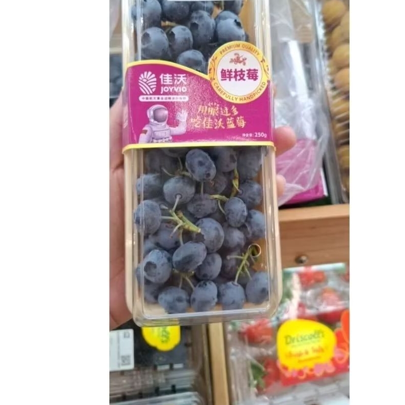 

Blueberry spesial pack | Blueberry manis 200 gr