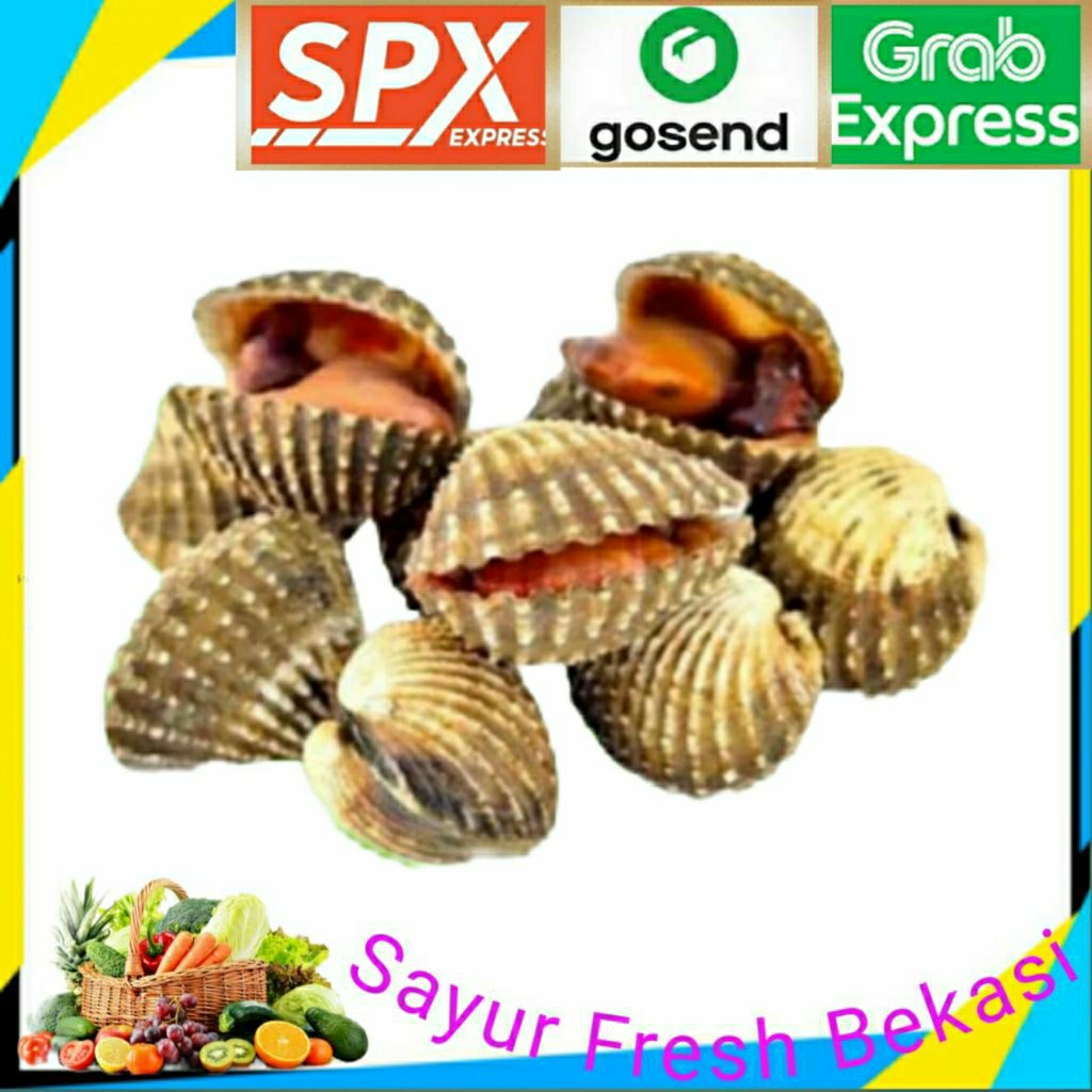 

Kerang Darah 1000g (1kg).