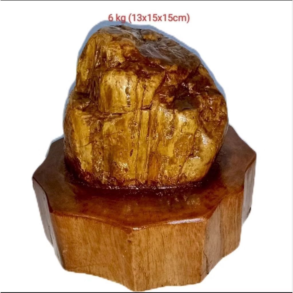 batu hias suiseki fosil kayu Cendana (108)