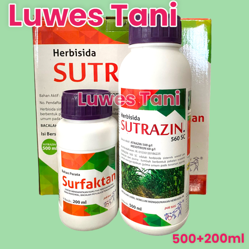 sutrazin 560sc herbisida sistemik pra dan purna tumbuh selektif jagung