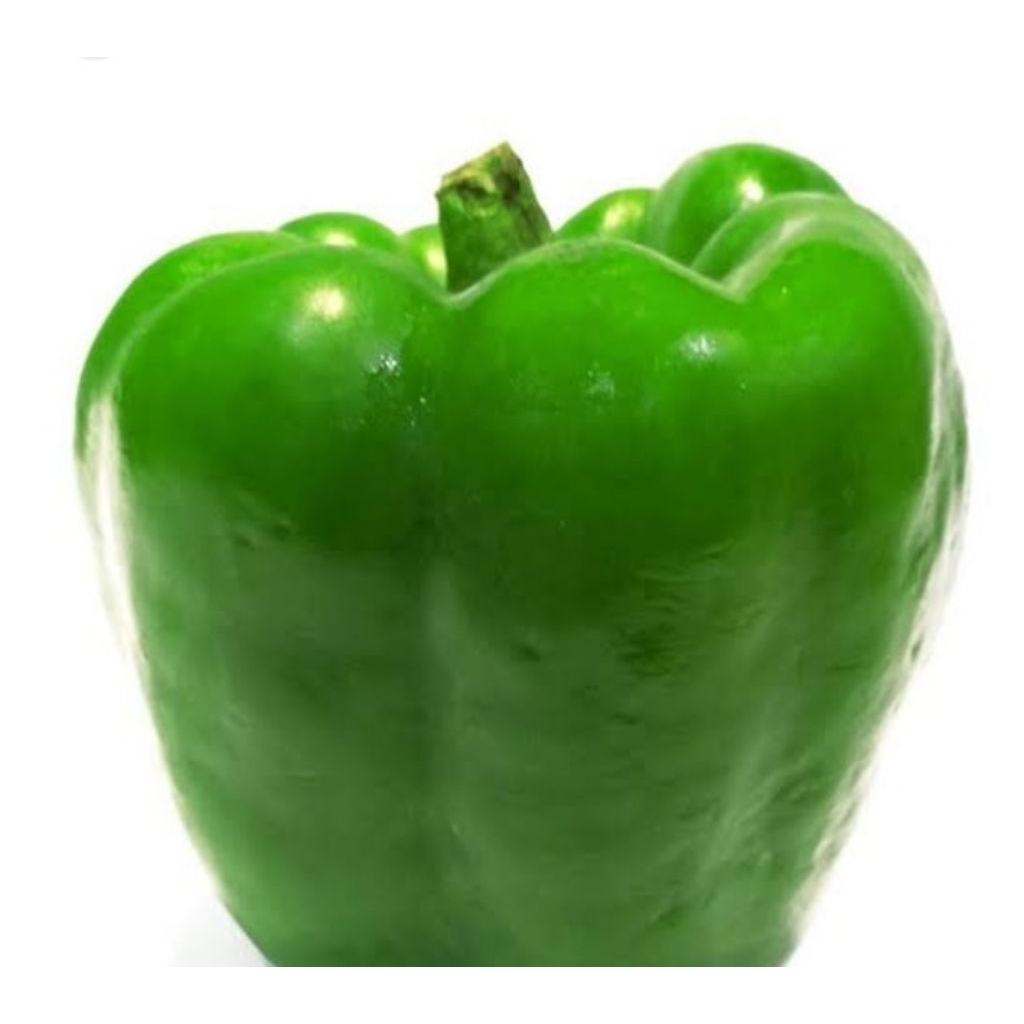 

paprika hijau fresh 1kg