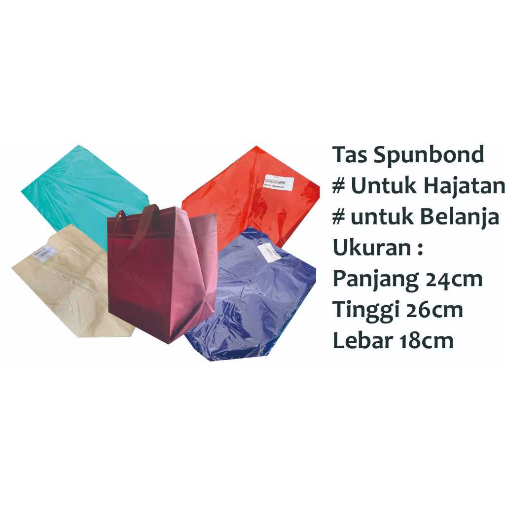 CPS -Tas Hajatan 20x20 / Tas Box 20x20 / Tas Hajatan Spunbond isi 12 pcs