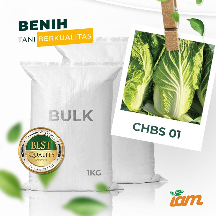 

BULK 1kg – sawi box F1 (CHBS 01)