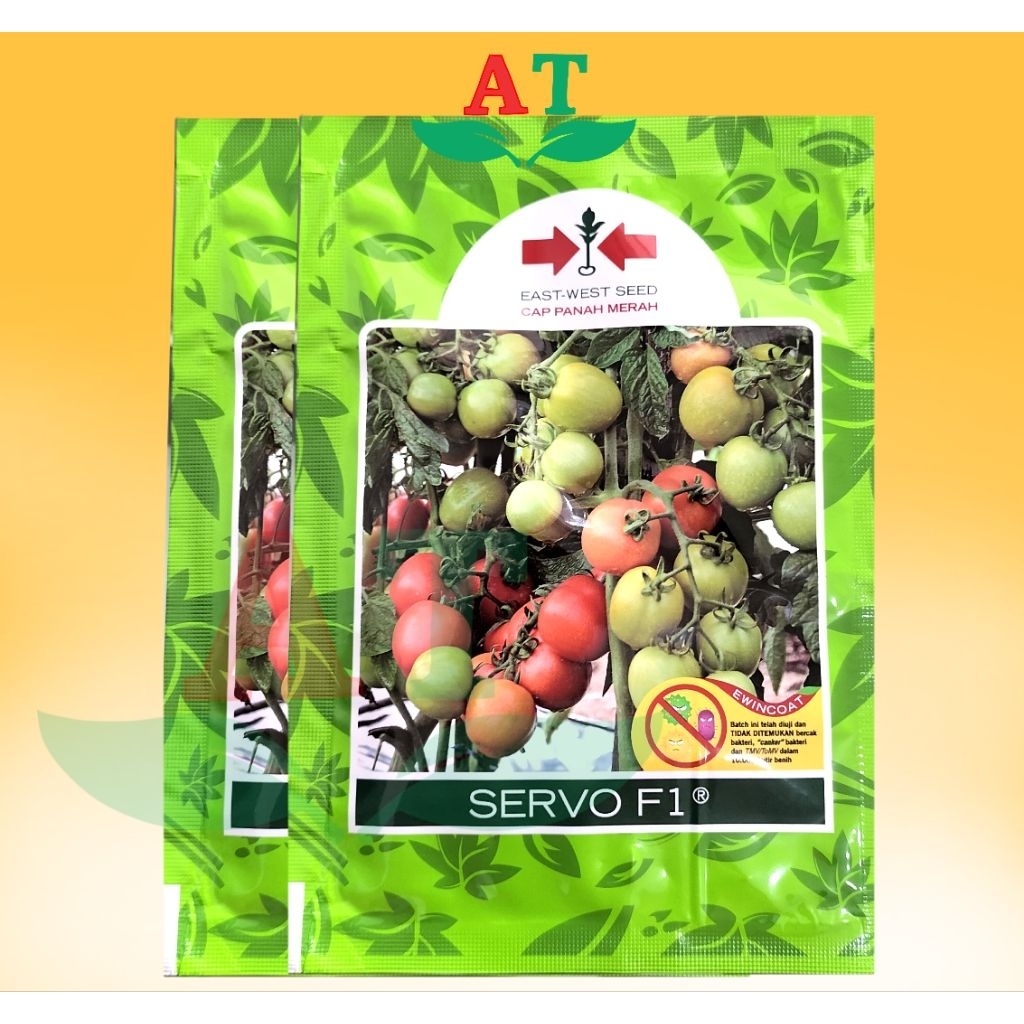 SERVO F1 BENIH TOMAT