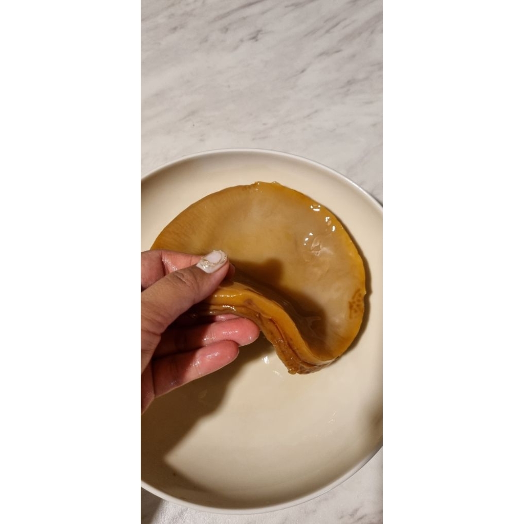 

SCOBY Dan Starter 500ml